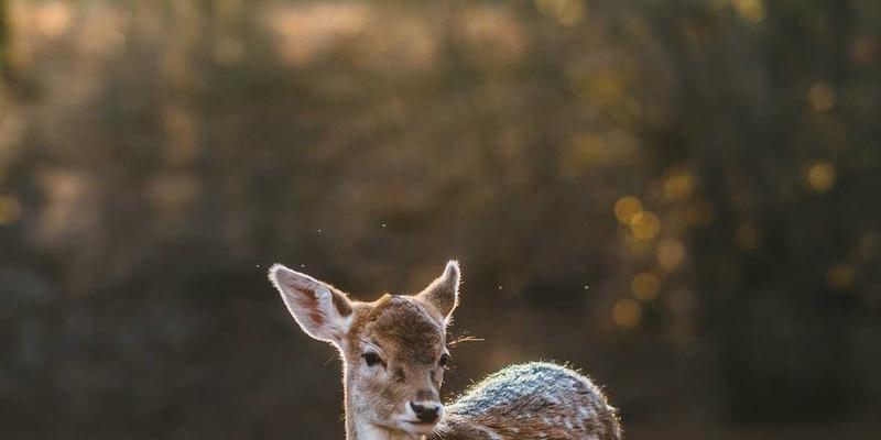 包裹体积重量陷阱揭秘：物流跟踪与快递查询之外的隐形费用指南