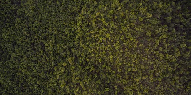 告别手动输入!智能语音助手如何让快递查询快人一步?