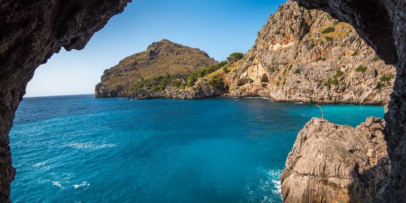 国际快递包裹追踪全攻略:时效、费用与查询技巧深度解析