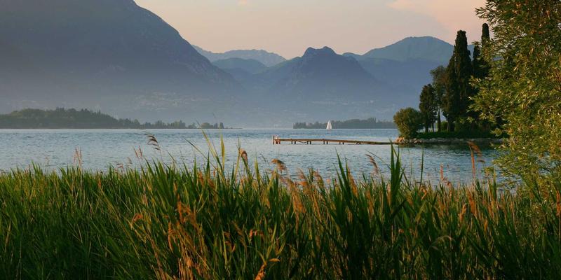 快递单号丢了别慌！教你用收寄件人信息反向追踪物流状态（2024实用指南）