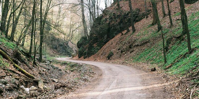 快递查询全攻略:从物流跟踪到异常处理,一篇文章掌握所有技巧