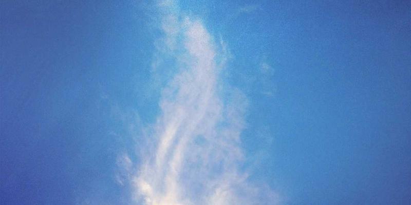 快递查询系统宕机怎么办？解析企业级容灾备份与高可用查询方案