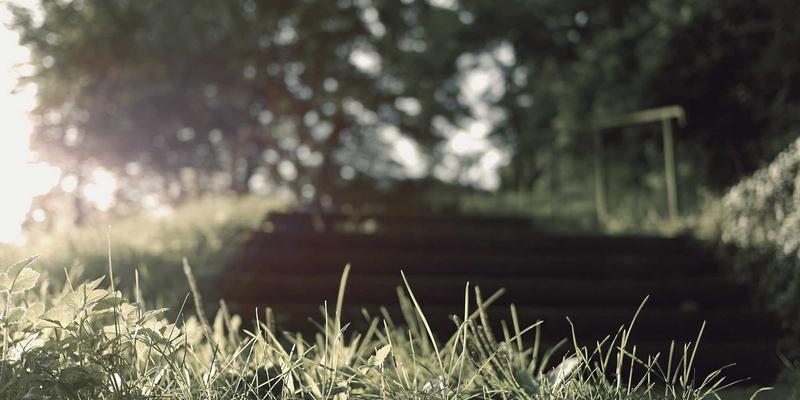 快递状态码迷雾解读:从“集包”到“拆包”,看懂物流全链路的隐藏信息