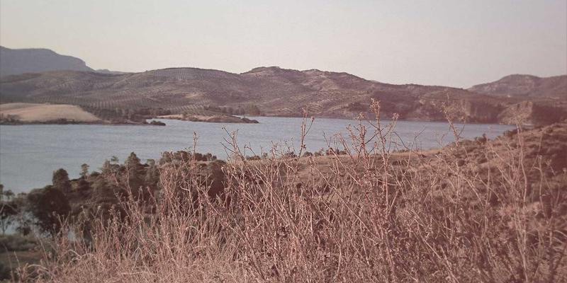 快递隐私新规解读：合法查询他人或公司包裹信息的三大途径与边界